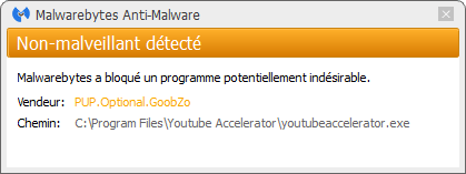 Youtube Accelerator bloqué par Malwarebytes Anti-Malware Premium