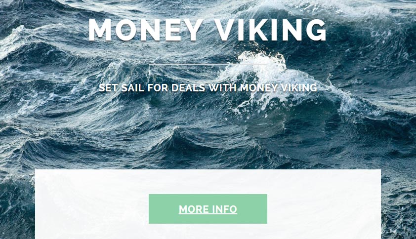 money viking