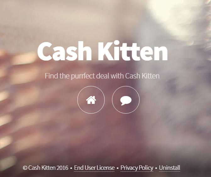 ads by cash kitten